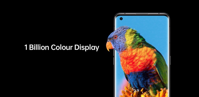 Oppo X 3 Find with brightly coloured parrot on its screen to demonstrate the phone's 1 billion colour display.