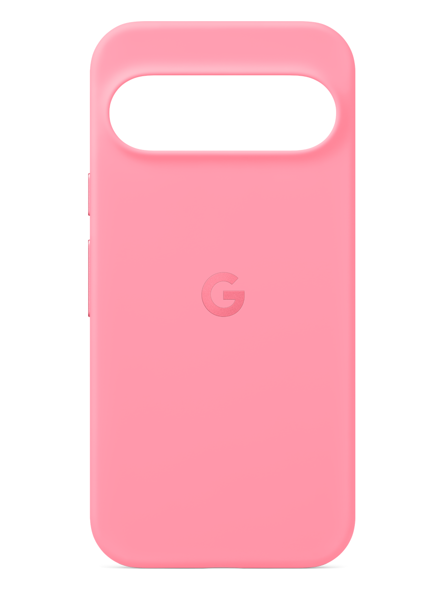 Pixel 9 and Pixel 9 Pro Case