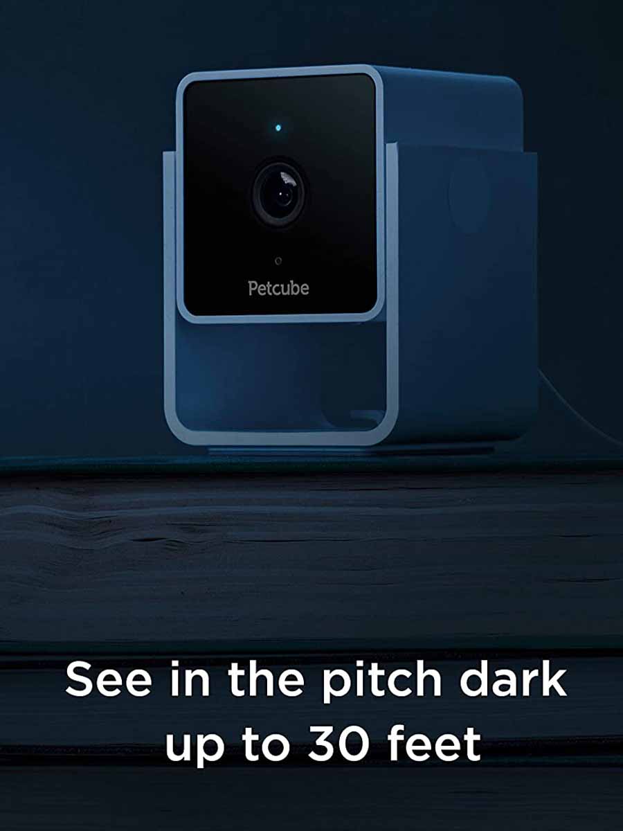 Buy the Petcube Pet Camera Telstra