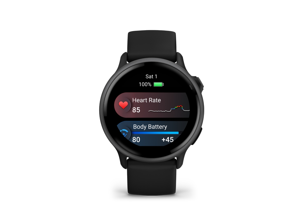 Garmin vivoactive Fitness Smartwatch with GPS, Slate Bezel with