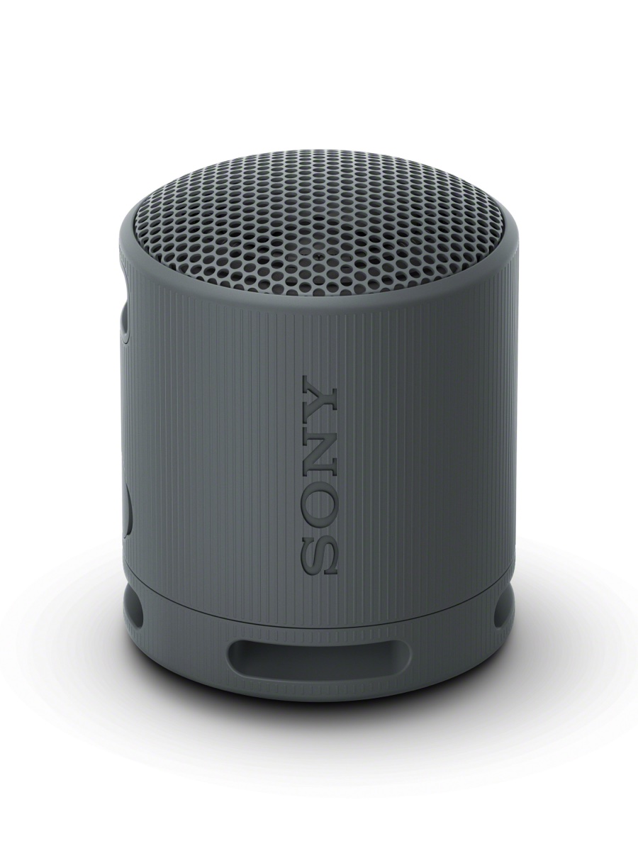 Sony Srs Sony Xb 900 Review Sony SRS-XV900 X Series Wireless