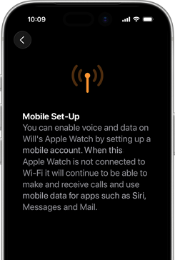 Cellular setup screen