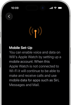 Cellular setup screen