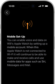 Cellular setup screen