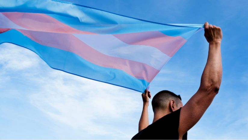 The trans flag is held overhead, displaying its white, pink and blue horizontal stripes.