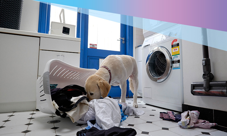 Watch Home On The Range Online Home On The Range Full Movie Online